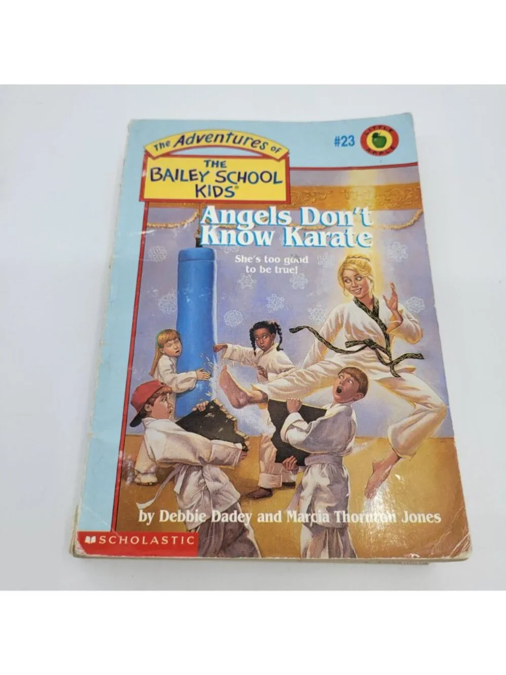 The Bailey School Kids Series Lot of 8 Chapter Books - CB037